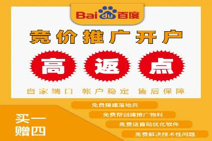 某某SEM团队成功案例：广告投放策略揭秘